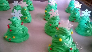 WP_20151218_15_41_24_Pro