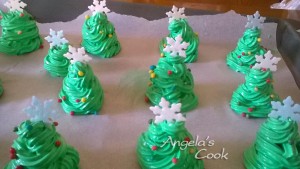 WP_20151218_15_42_11_Pro