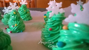 WP_20151218_15_42_41_Pro